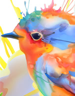 Colorful Bird and Roses Flower Watercolor Artwork Wall Mural. Removable Peel and Stick Wall Mural. #6275