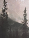 Foggy Misty Forest Trees Over Mountain Under a Starry Night Wall Mural. #6304
