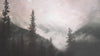 Foggy Misty Forest Trees Over Mountain Under a Starry Night Wall Mural. #6304