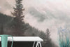 Foggy Misty Forest Trees Over Mountain Under a Starry Night Wall Mural. #6304