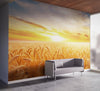 Sunset Sunrise over Farmland Wheat Field Wall Mural. Peel and Stick Wall Paper. #6323