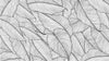 Banana Leaves Wallpaper, Palm Leaves Line Art Pattern Peel and Stick Wall Mural. #6330