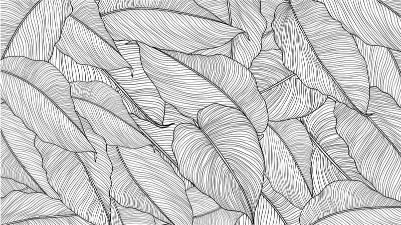 Banana Leaves Wallpaper, Palm Leaves Line Art Pattern Peel and Stick Wall Mural. #6330
