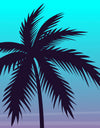 Miami Tropical Palm Tree Illustration Vice Color Sunset Wall Mural. Bright Miami Vice Blue and Fuchsia Colors. #6331