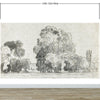 Forest Trees Wallpaper Peel and Stick Mural, Grove of Trees Drawing by Camille Pissarro. #6344