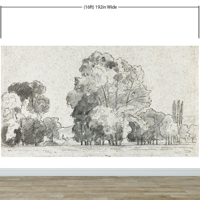 Forest Trees Wallpaper Peel and Stick Mural, Grove of Trees Drawing by Camille Pissarro. #6344