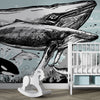 Whale, Dolphin, Killer Whale Wall Mural. Underwater Sea Life Drawing Design. Peel and Stick Wall Mural. #6354