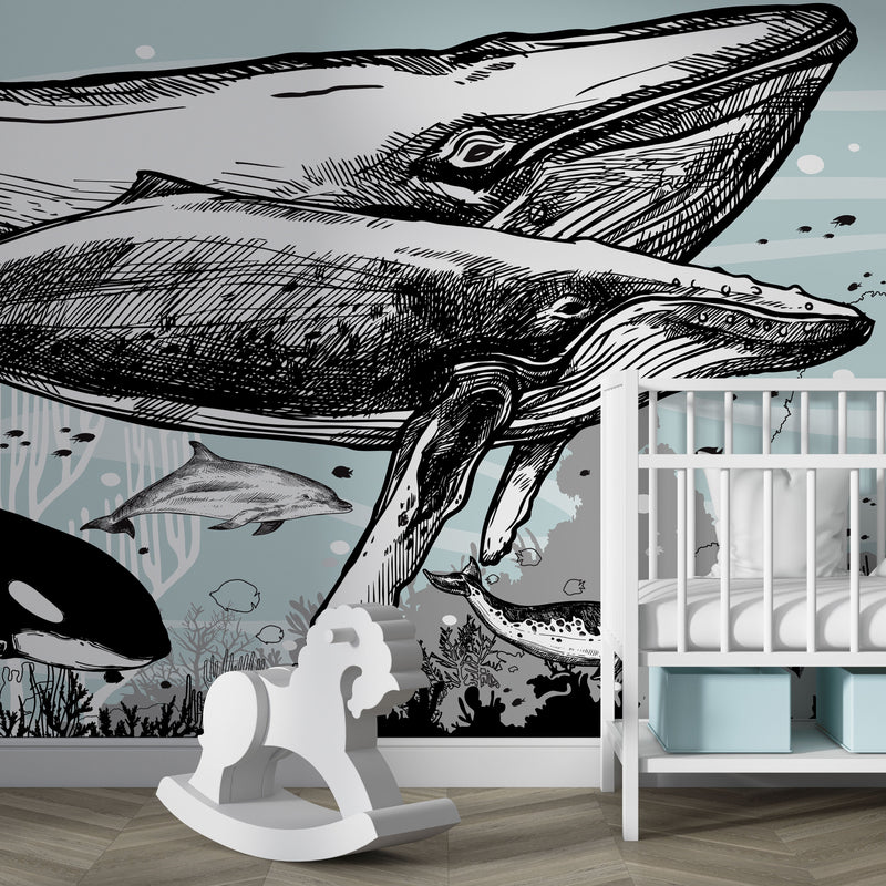Whale, Dolphin, Killer Whale Wall Mural. Underwater Sea Life Drawing Design. Peel and Stick Wall Mural. #6354