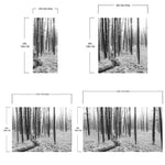 Black and White Forest Landscape Wall Mural. Peel and Stick Wallpaper. #6365