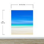 Tropical Beach Wall Mural. Abstract Blur View of Coastline Peel and Stick Wallpaper. #6389