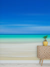 Tropical Beach Wall Mural. Abstract Blur View of Coastline Peel and Stick Wallpaper. #6389