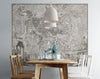 Vintage Old Map of Rome Italy Wall Mural. The Large Plan of Rome Peel and Stick Wallpaper. #6412