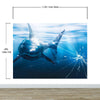 Great White Shark Attack Aquarium Glass Wall Mural. Peel and Stick Wallpaper. #6424