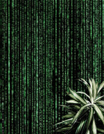 Computer Matrix Style Lines of Code Wall Mural. Science Fiction Decor. #6430