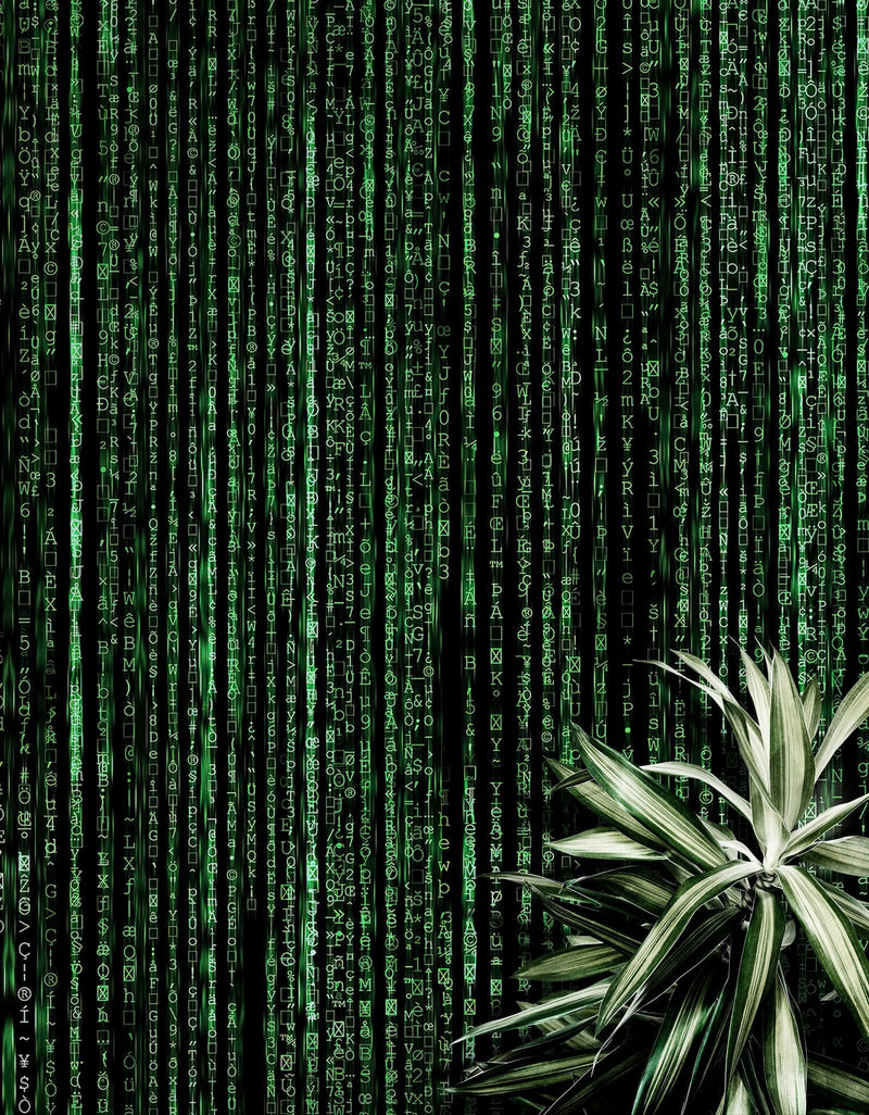 Computer Matrix Style Lines of Code Wall Mural. Science Fiction Decor. #6430