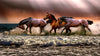 Wild Horses Galloping on Beach Wall Mural. Peel and Stick Wallpaper. #6458