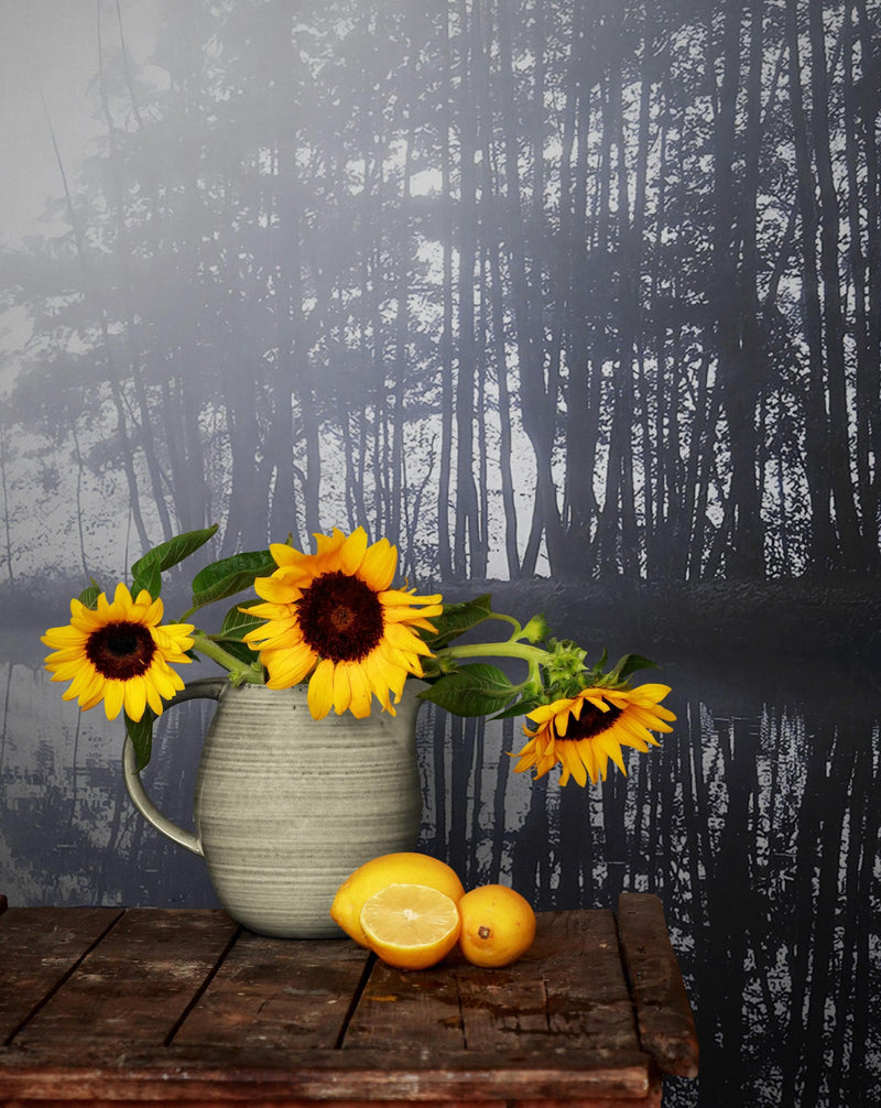 Foggy Woodland Wall Mural. Warm Grey Misty Forest Lakeview Peel and Stick Wallpaper. #6474