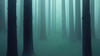 Foggy Forest Wall Mural. Emerald Green Mist Wallpaper. #6476