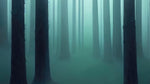 Foggy Forest Wall Mural. Emerald Green Mist Wallpaper. #6476