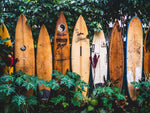 Surfboards Wall Mural. Peel and Stick Wallpaper. Summer Tropical Beach Theme Decor. #6509