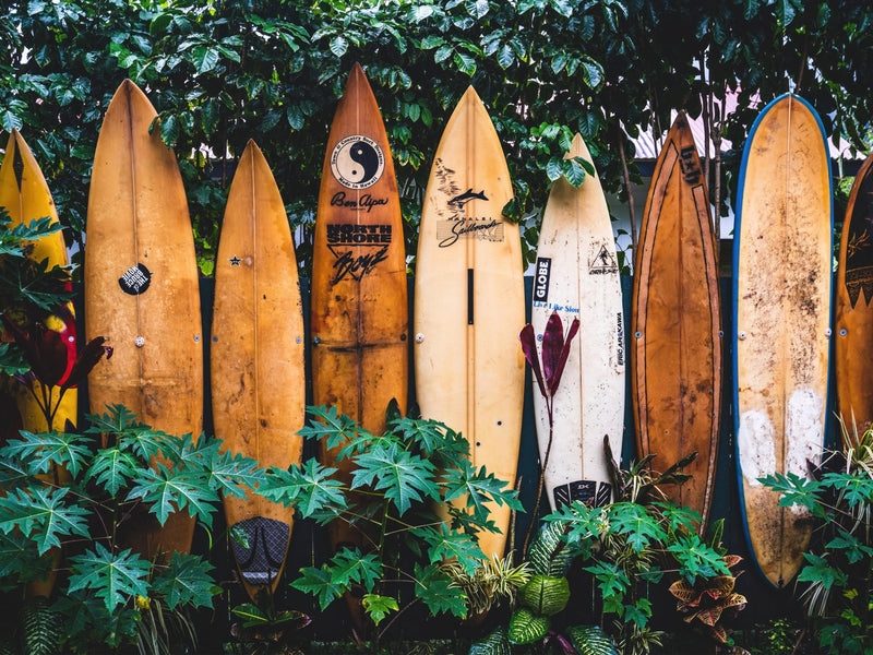 Surfboards Wall Mural. Peel and Stick Wallpaper. Summer Tropical Beach Theme Decor. #6509