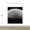 Moon Wallpaper. Black and White Wall Decor. #6532