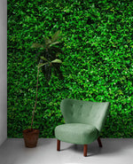 Greenery Grass Background Wallpaper Mural. #6551
