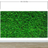 Greenery Grass Background Wallpaper Mural. #6551