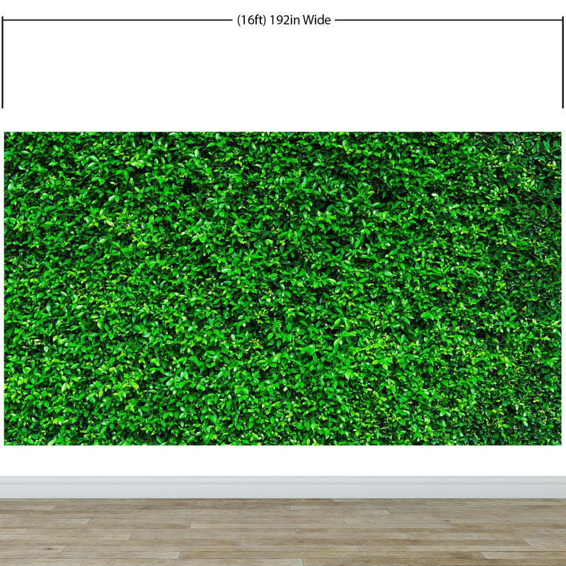 Greenery Grass Background Wallpaper Mural. #6551