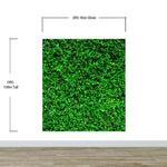 Greenery Grass Background Wallpaper Mural. #6551