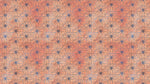 Flower Wallpaper - Botanical Wallpaper - Wildflower Nature Pattern - Floral Peel and Stick Wall Mural. Peach Color Blossom Flower Mural. #6559