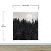Foggy Forest Wall Mural. Peel and Stick Wallpaper. Monotone Grey Nature Wallpaper. Rain Forest Wall Mural. #6560