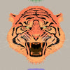 Asian Tiger Wallpaper Peel and Stick Wall Mural. #6573