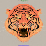Asian Tiger Wallpaper Peel and Stick Wall Mural. #6573