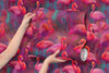 Bright Pink Flamingos Wallpaper - Modern Miami Vibes, Tropical Home Decor #6581
