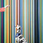 Vertical Line Color Stripes Wallpaper. Bright Rainbow Color Lines Wall Mural. #6597