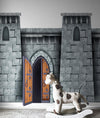 Medieval Castle Wallpaper / Peel and Stick Wall Mural. #6620