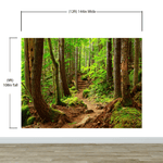 Green Forest Woodland Wall Mural – Nature's Embrace Peel and Stick Wallpaper #6647
