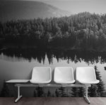 Black and White Mountain Over Looking Lake and Forest Wallpaper. #6671