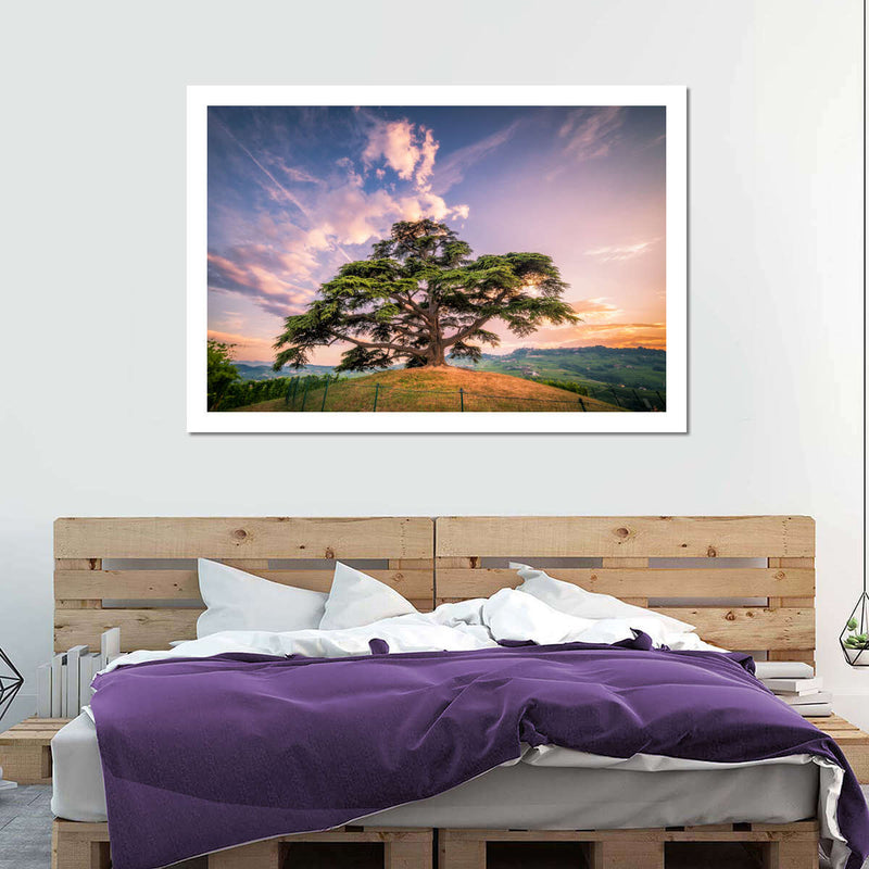 Majestic Cedar Of Lebanon Wall Art