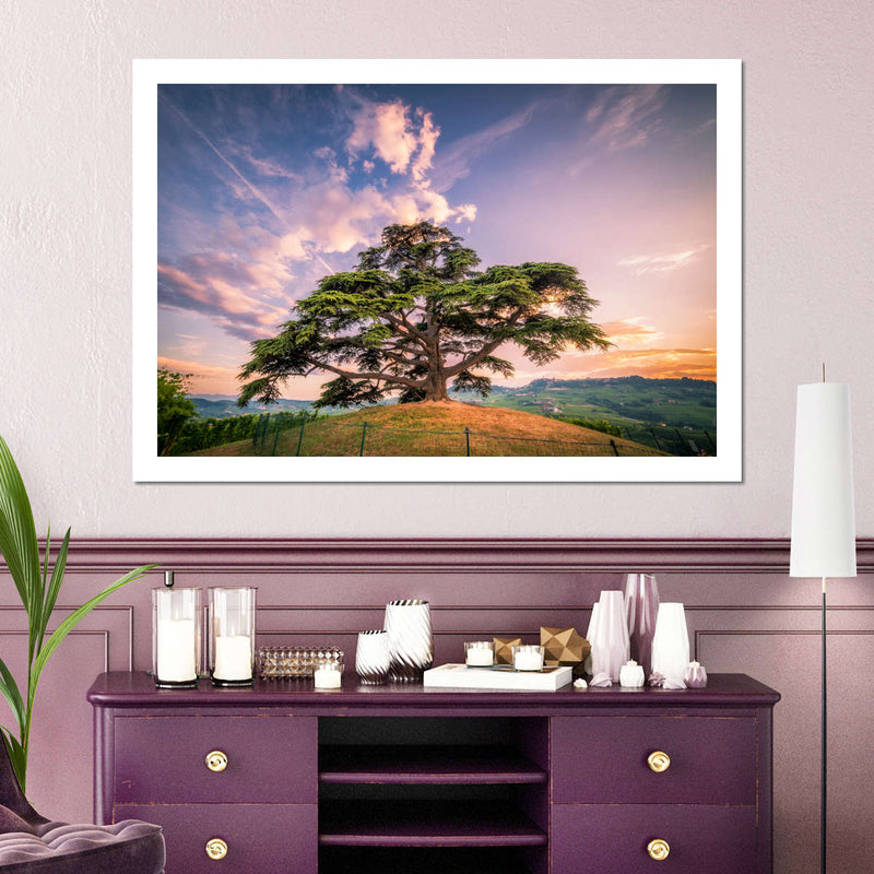 Majestic Cedar Of Lebanon Wall Art
