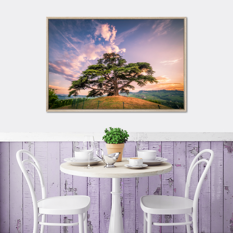 Majestic Cedar Of Lebanon Wall Art