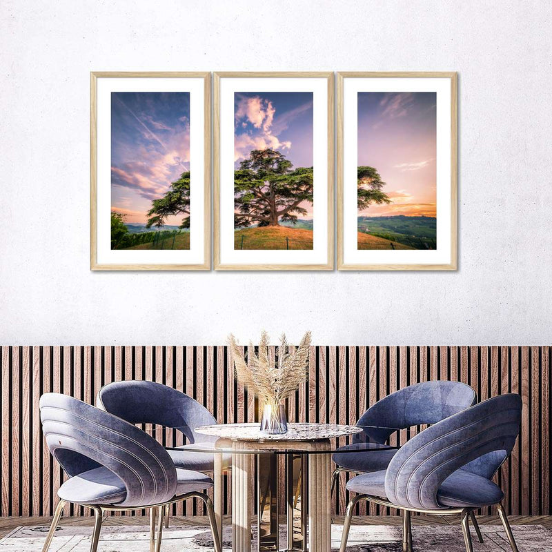 Majestic Cedar Of Lebanon Wall Art