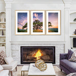 Majestic Cedar Of Lebanon Wall Art
