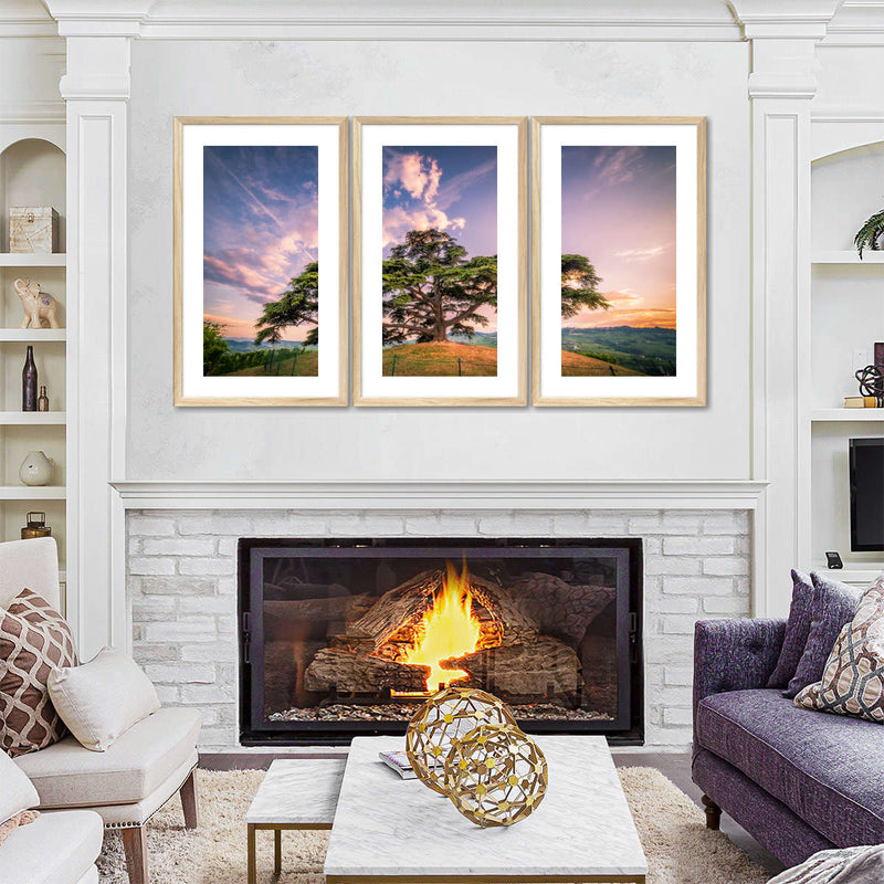 Majestic Cedar Of Lebanon Wall Art