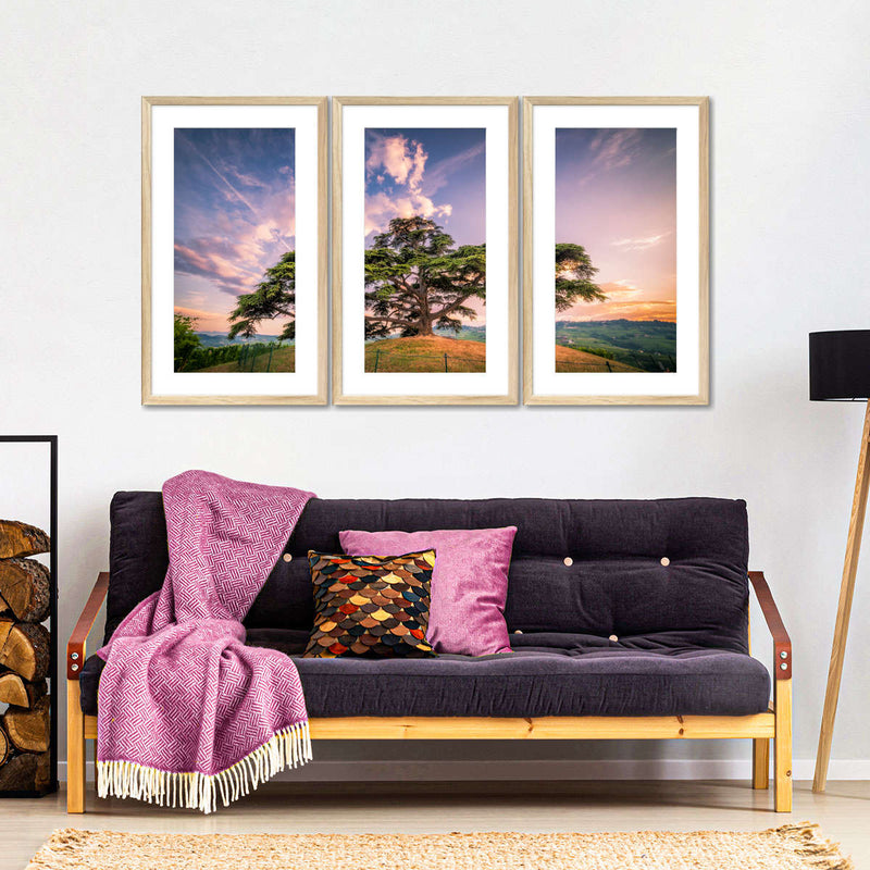 Majestic Cedar Of Lebanon Wall Art