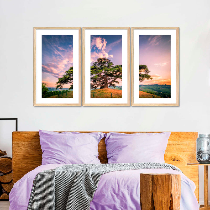 Majestic Cedar Of Lebanon Wall Art