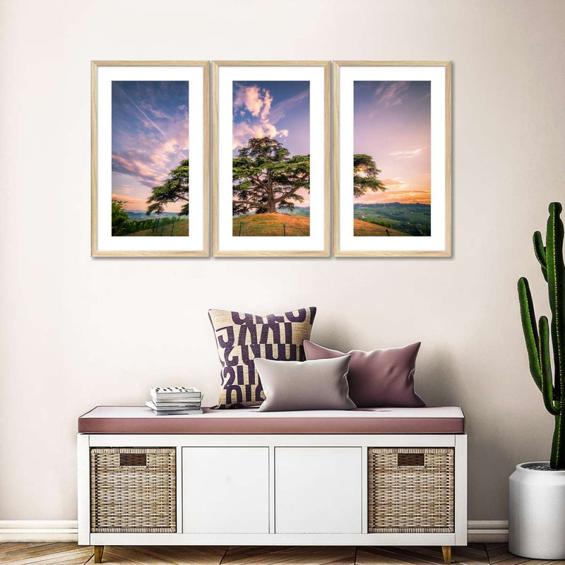 Majestic Cedar Of Lebanon Wall Art