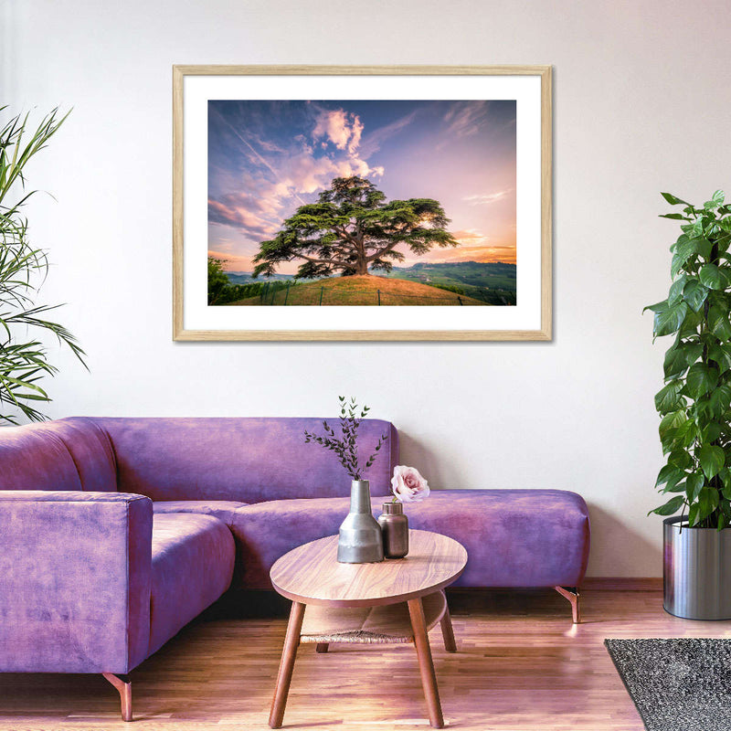 Majestic Cedar Of Lebanon Wall Art