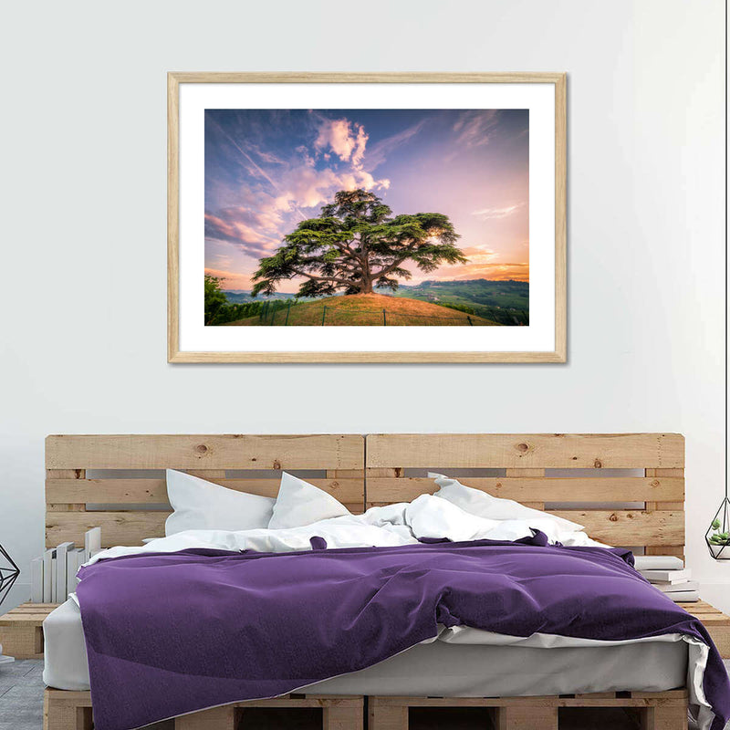 Majestic Cedar Of Lebanon Wall Art